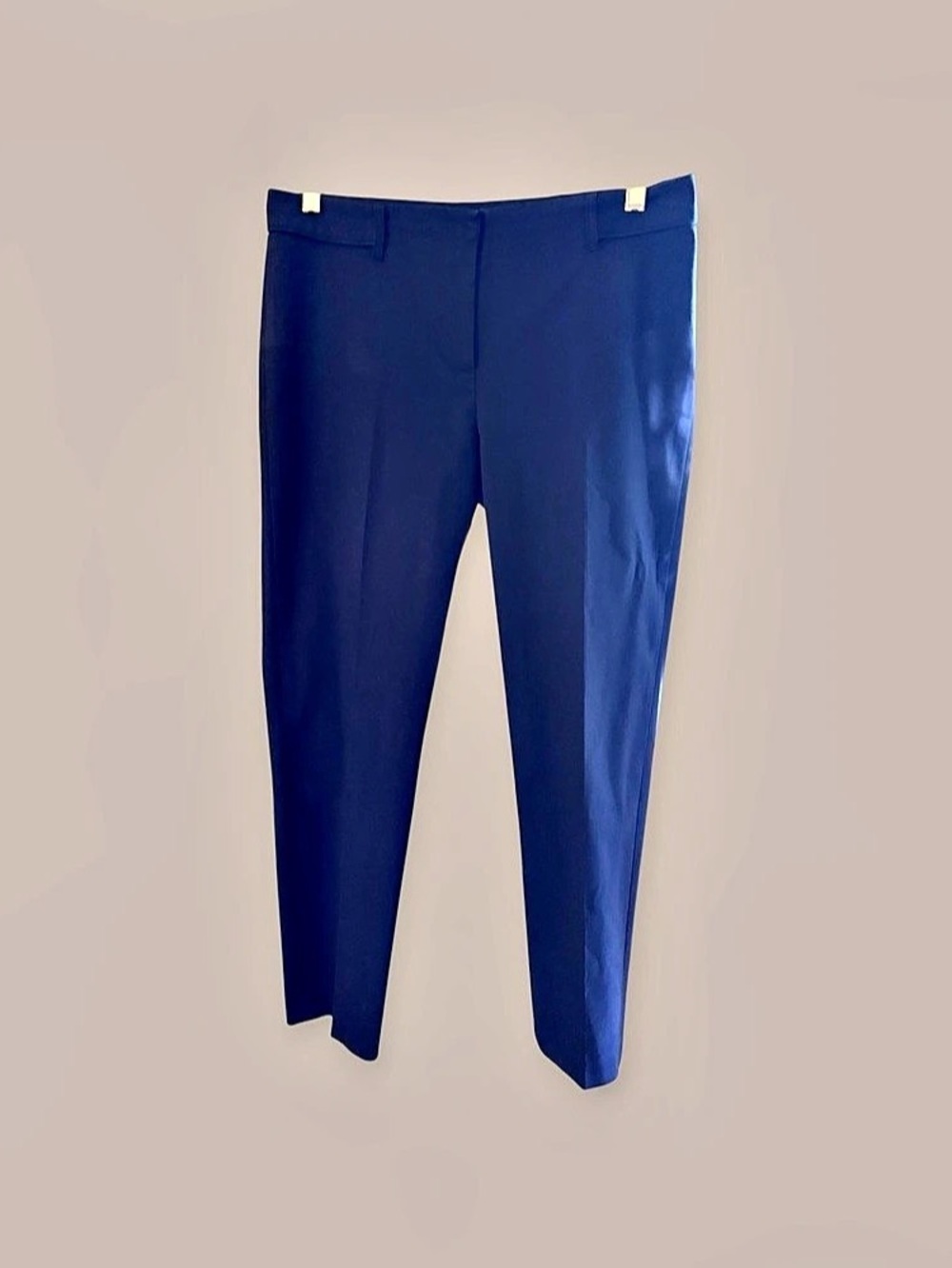 J.McLaughlin Ynez Pants in Blue Size 8 Like New